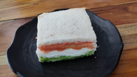 tricolor sandwich 12
